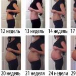 شکم در دوران بارداری - تغییر در هفته شکم زن باردار بر اساس ماه