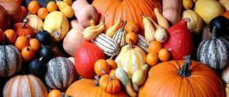 Pumpkin crafts (84 photos) for the garden and school