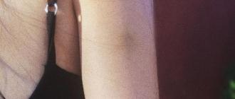Moterų drugelio tatuiruotė ant kojos