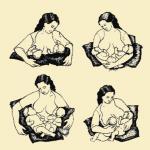 Basic and main rules for breastfeeding an infant