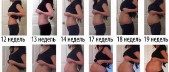 Belly during pregnancy - changes by week Belly of a pregnant woman by month