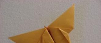„Pasidaryk pats“ popieriniai drugeliai (schemos, šablonai)