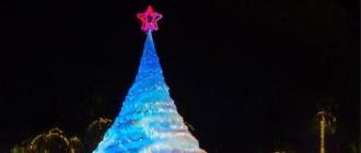 Where was the tallest Christmas tree installed? What was the height of the largest tree?